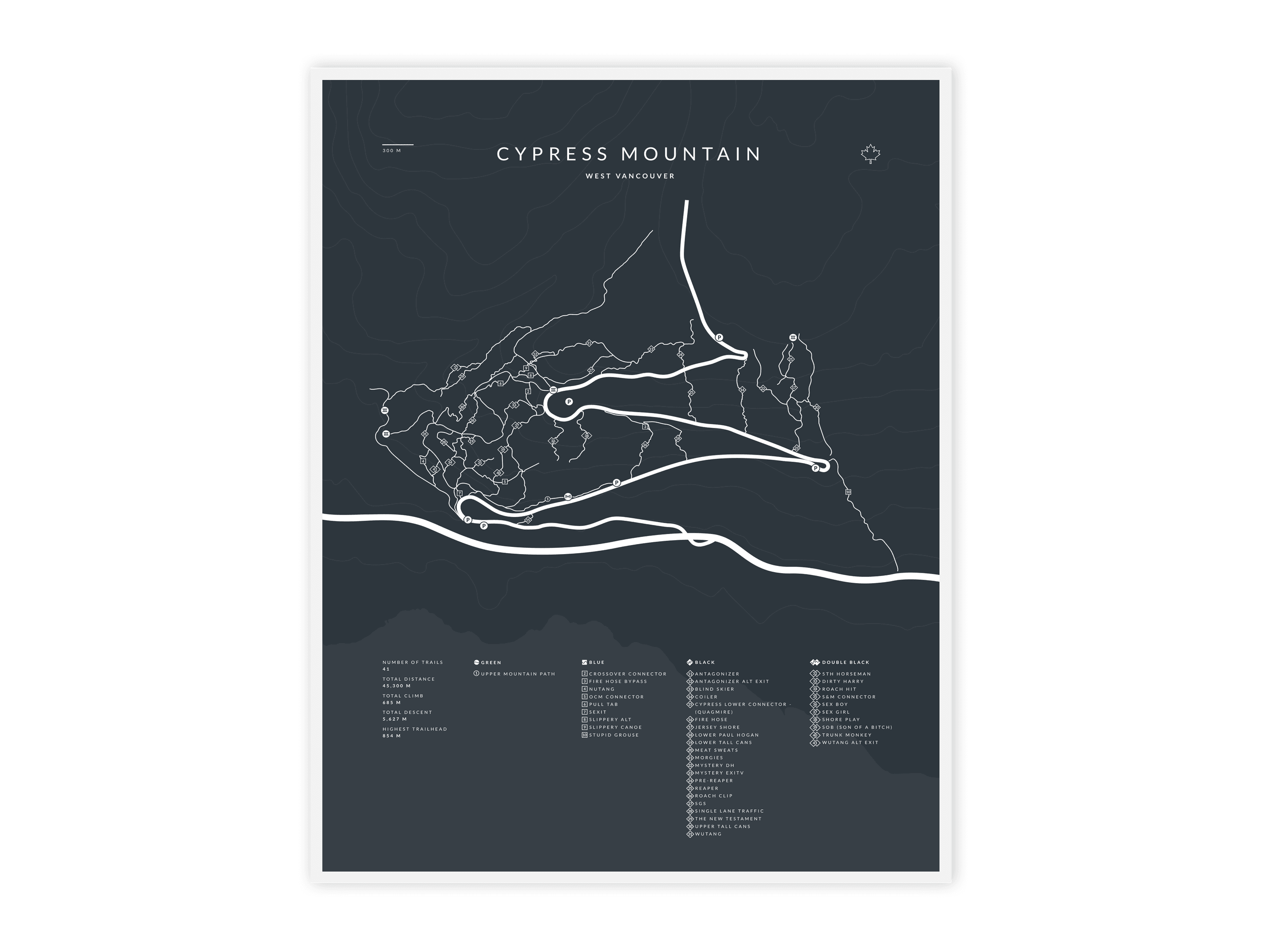 Cypress Mountain - Bike Shop Edition